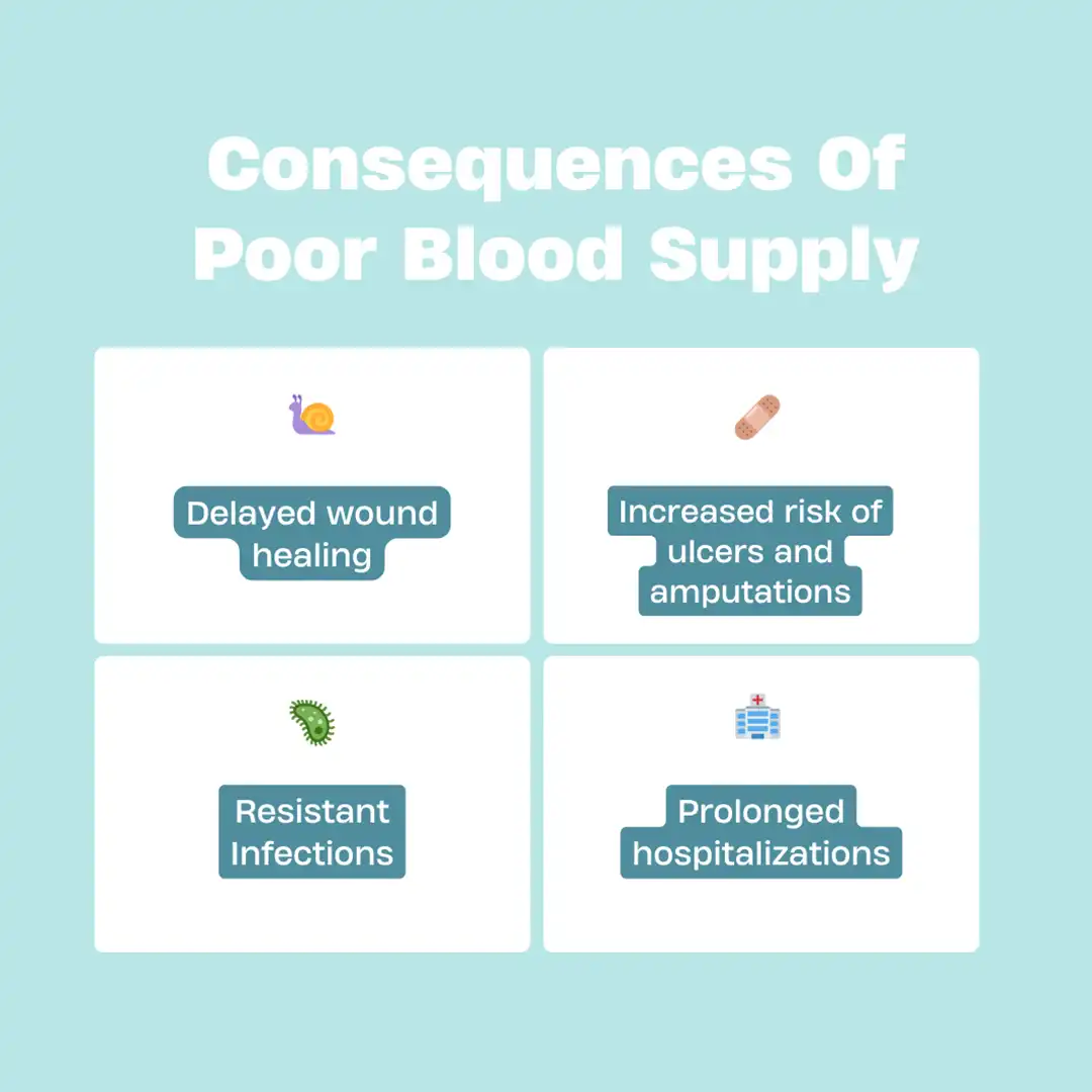 Feet Vascular System Slideshow 3 Consequences of poor blood supply