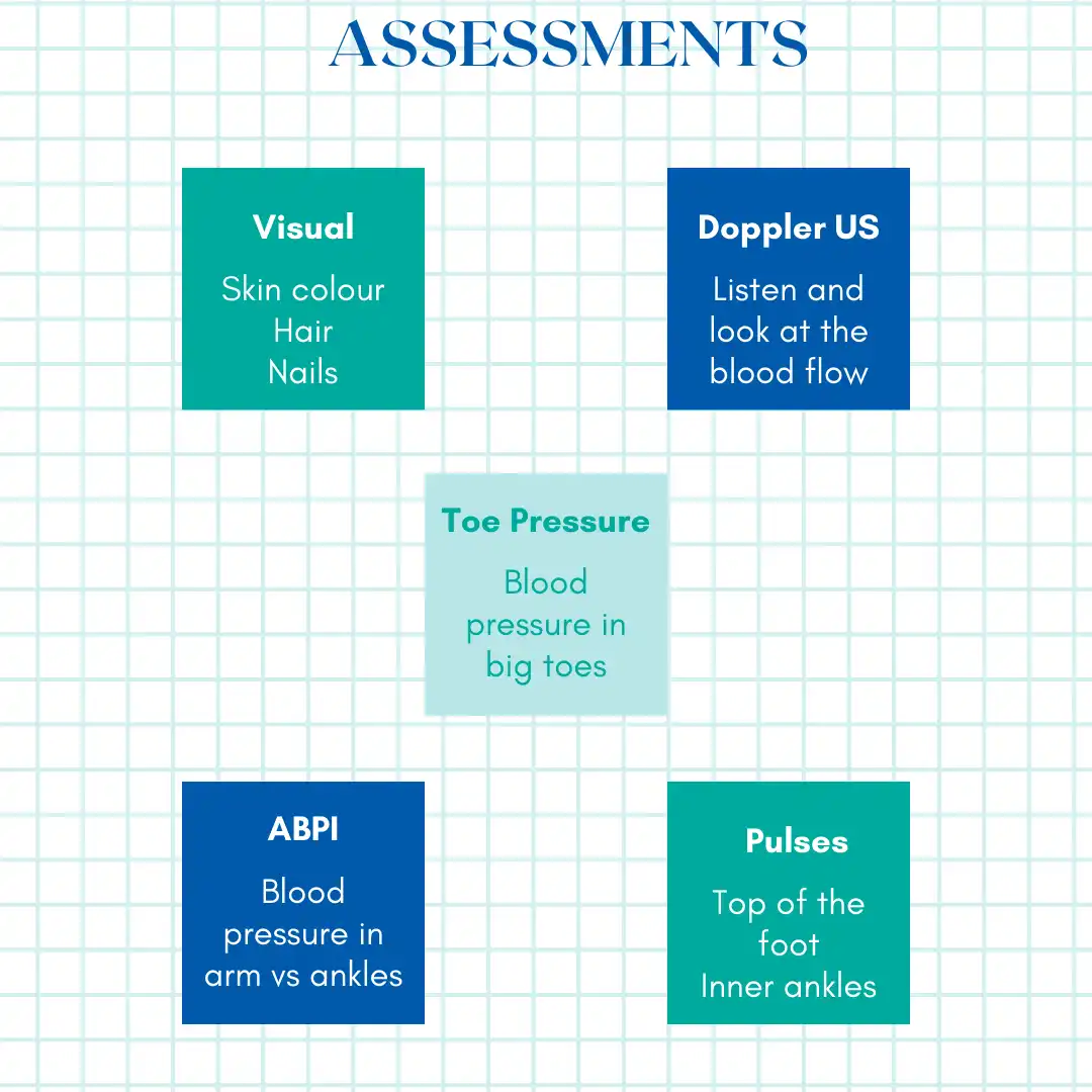 Feet Vascular System Slideshow 4 Assessments what to looks for